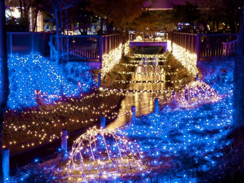 🌸 구마야마 영국정원 (구마야마 에이코쿠 테이엔) 이미지 11